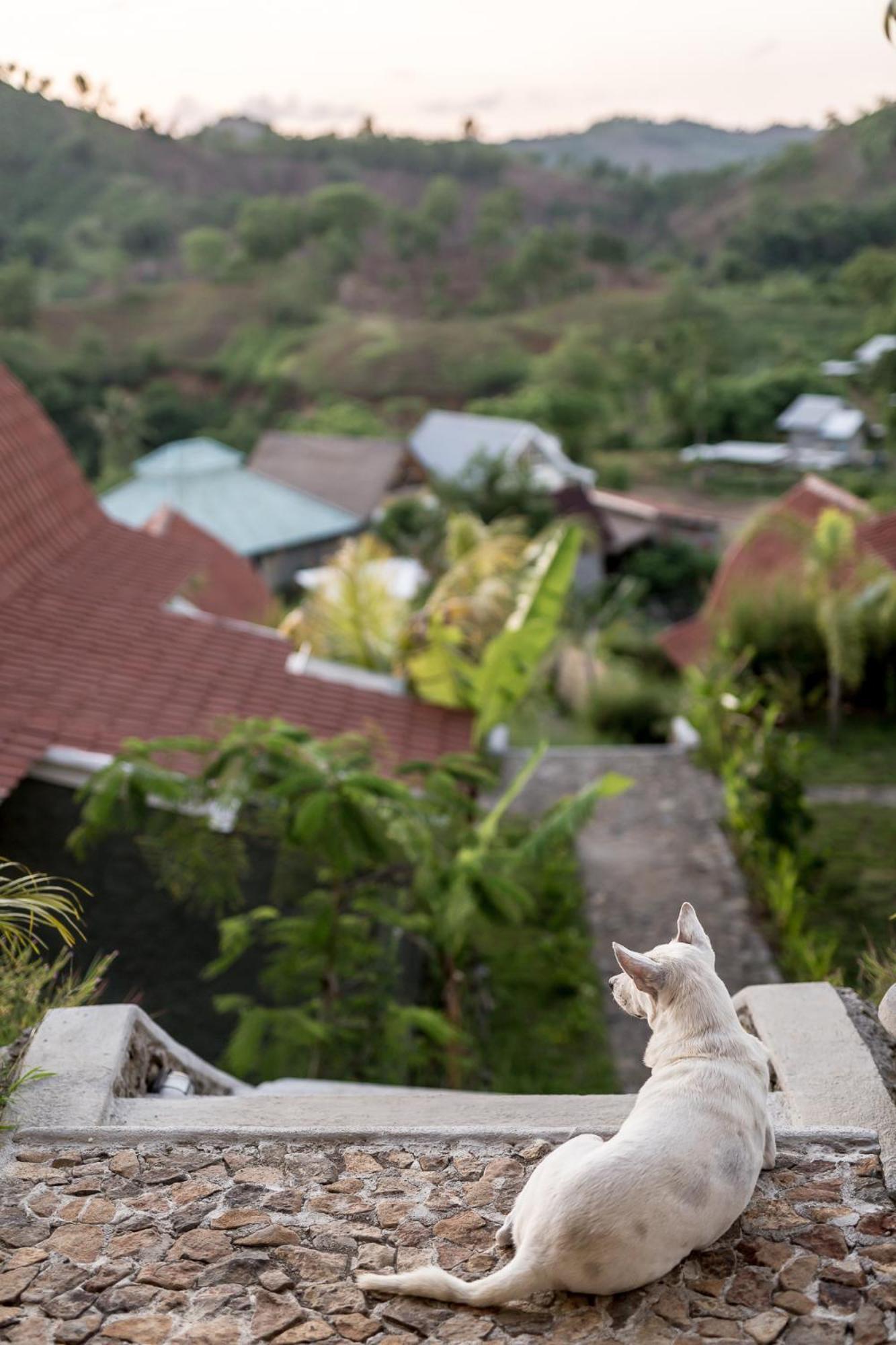 Drop In Surf Lodge Kuta  Eksteriør bilde